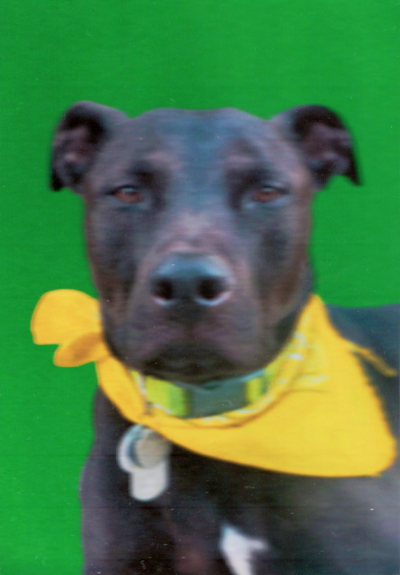 Freedom To Spend - © Oddity Radio