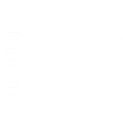 Pingipung - © Oddity Radio